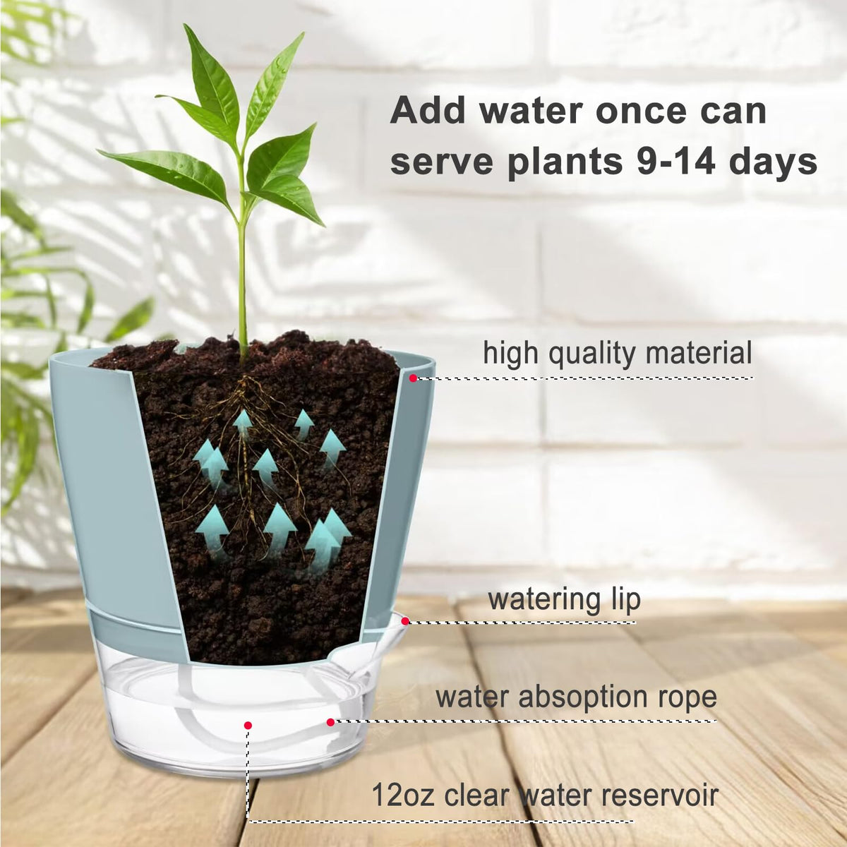 Hayder Plant Pots 6 inch Set of 6, Self Watering Flower Pots Indoor Outdoor, Self Watering Planters with Drainage Hole & Clear Saucer Reservoir