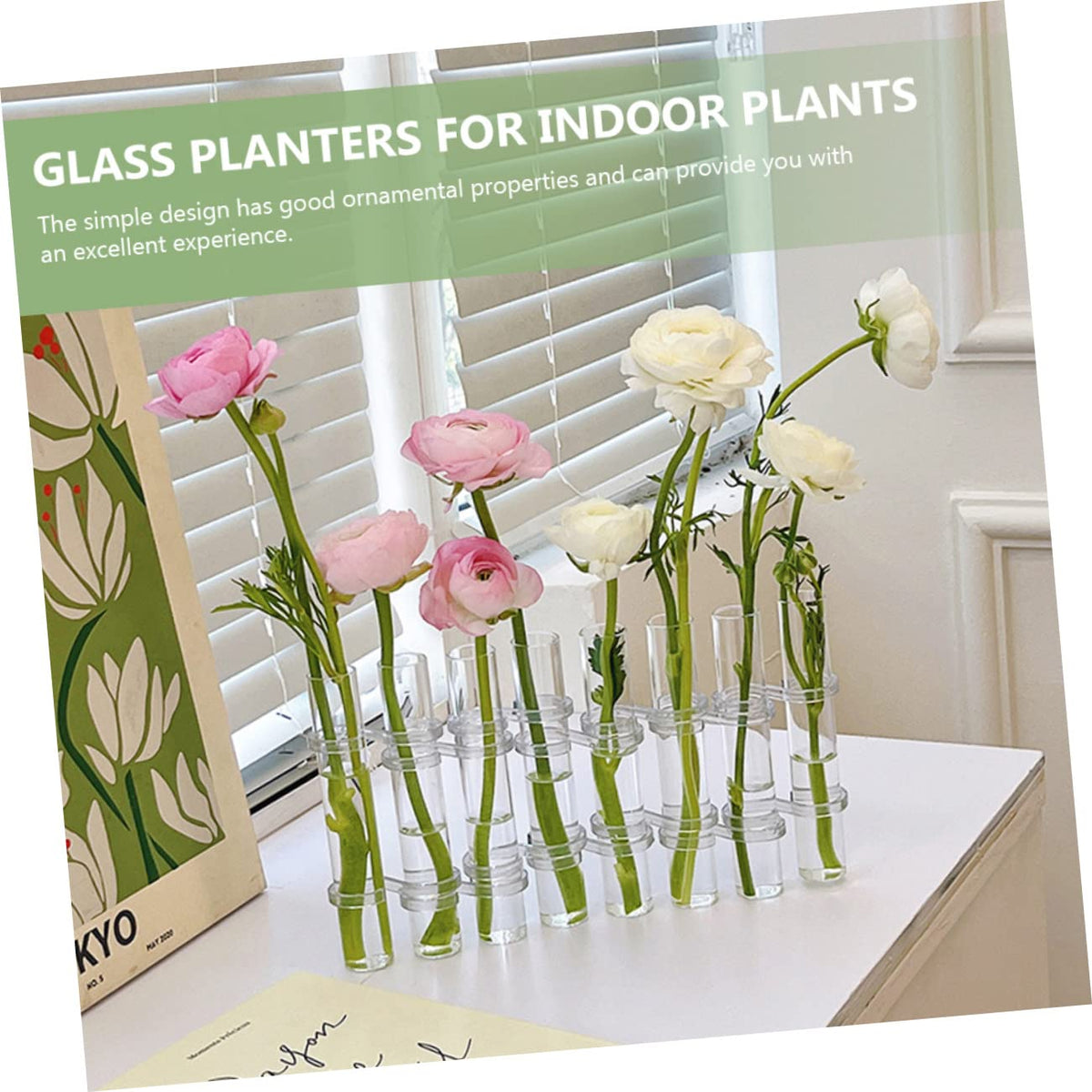 VICASKY Hydroponic Test Tube Vases 6-Piece Glass Plant Propagation Kit for Indoor Home Decor Wall Hanging Planter and Desktop Terrarium Arrangement