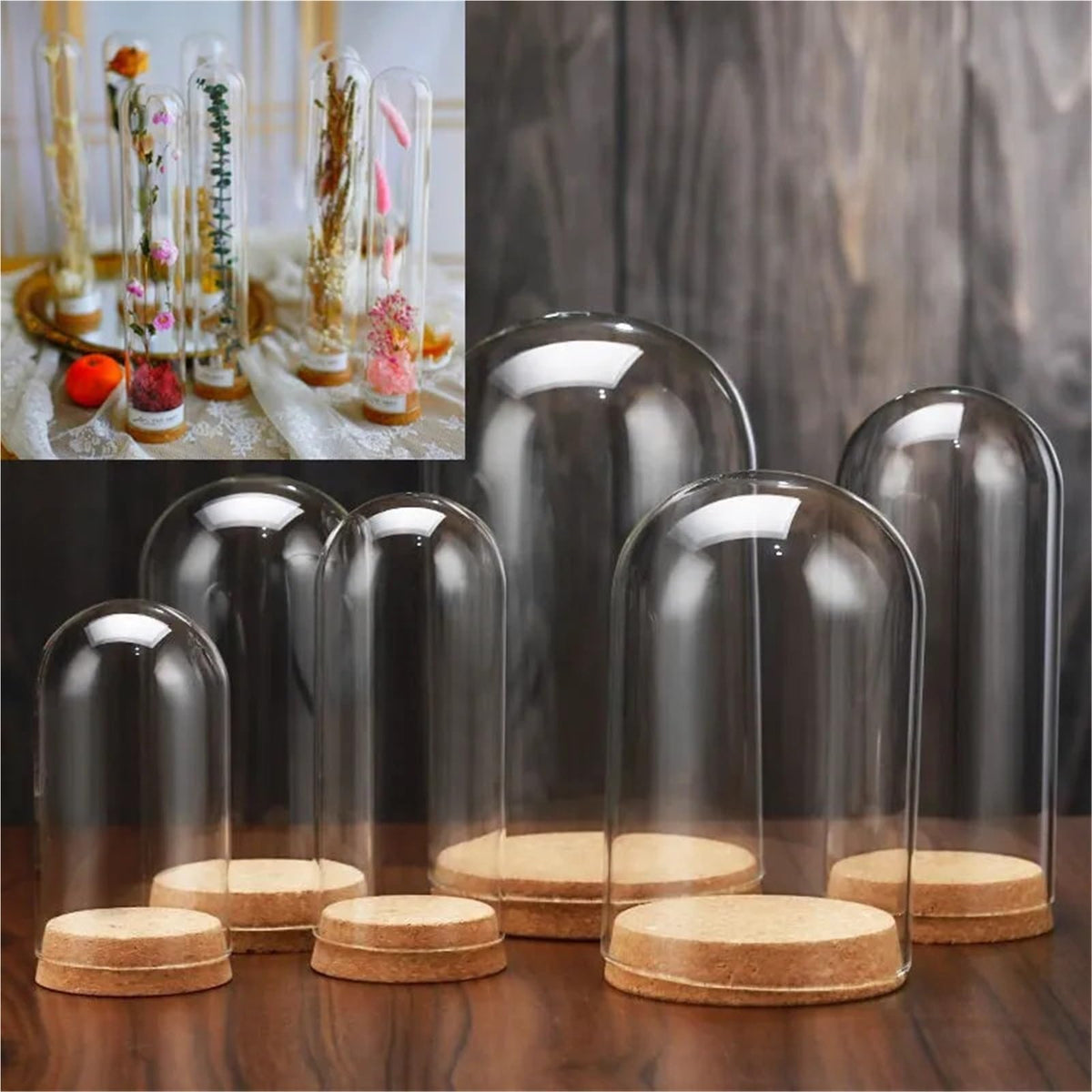 10X Da30mm Glass Bottle Terrarium Jar Cork Base Dome Dust Cover DIY Specimen Succulent Plant Micro Landscape Flower Vase Display(30x100cm)