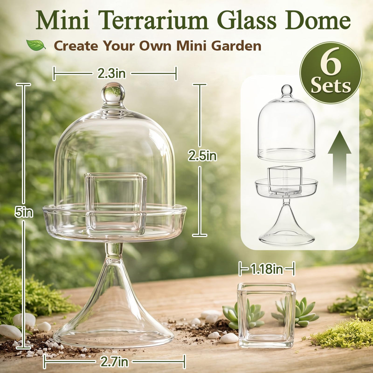 Gandeer 6 Pack Mini Glass Cloche with Base Bell Jar Dome & Acrylic Cube Planter 2.7 x 2.7 x 5'' Clear Glass Terrarium for Succulents Moss Cakes Miniature Dioramas Specimens Jewelry Rings Display