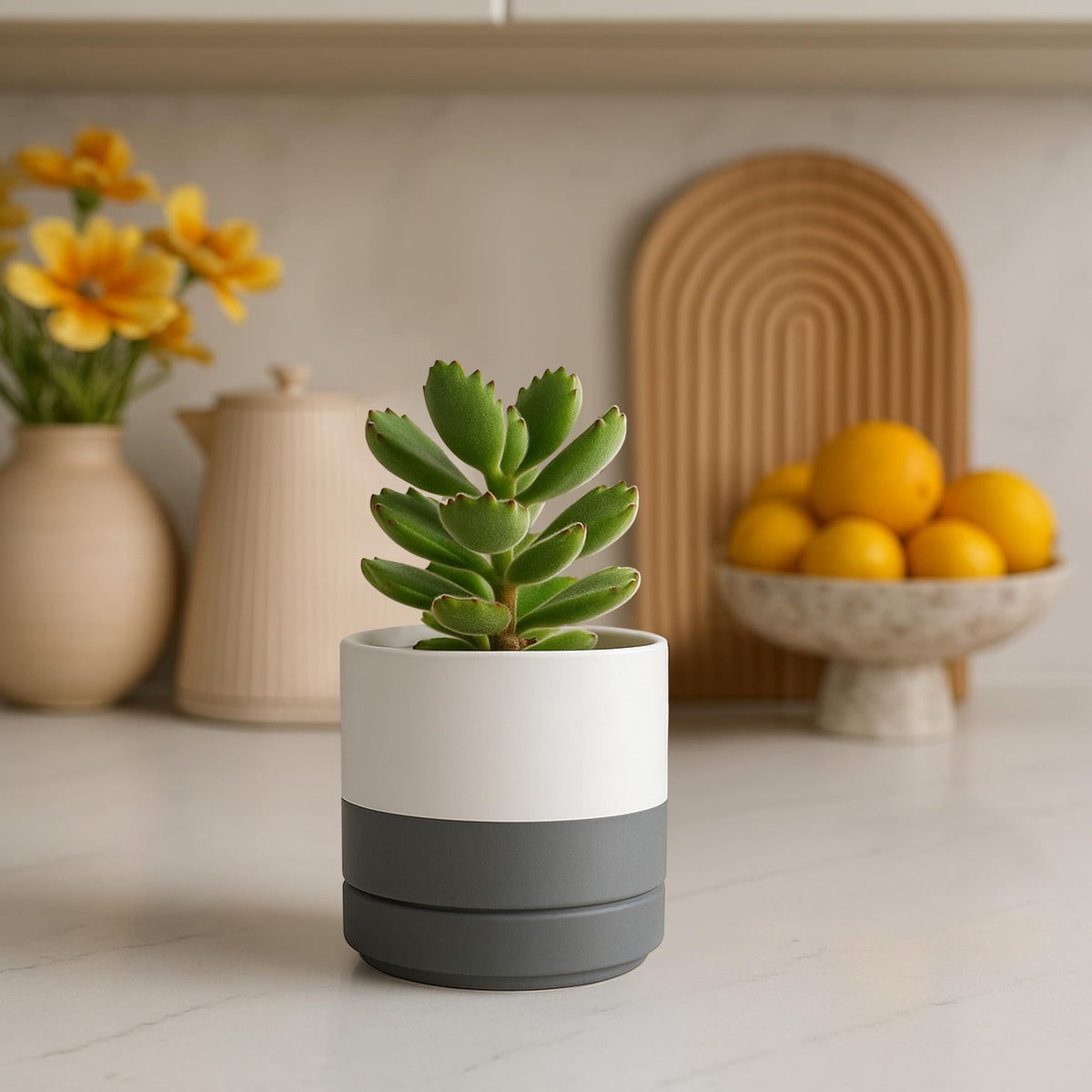 D'vine Dev Set of 2 Plants Pots, 4.7 Inch Ceramic Planter Pot for Plants with Drainage Hole and Saucer, White/Speckled Grey, 94-V-B-6