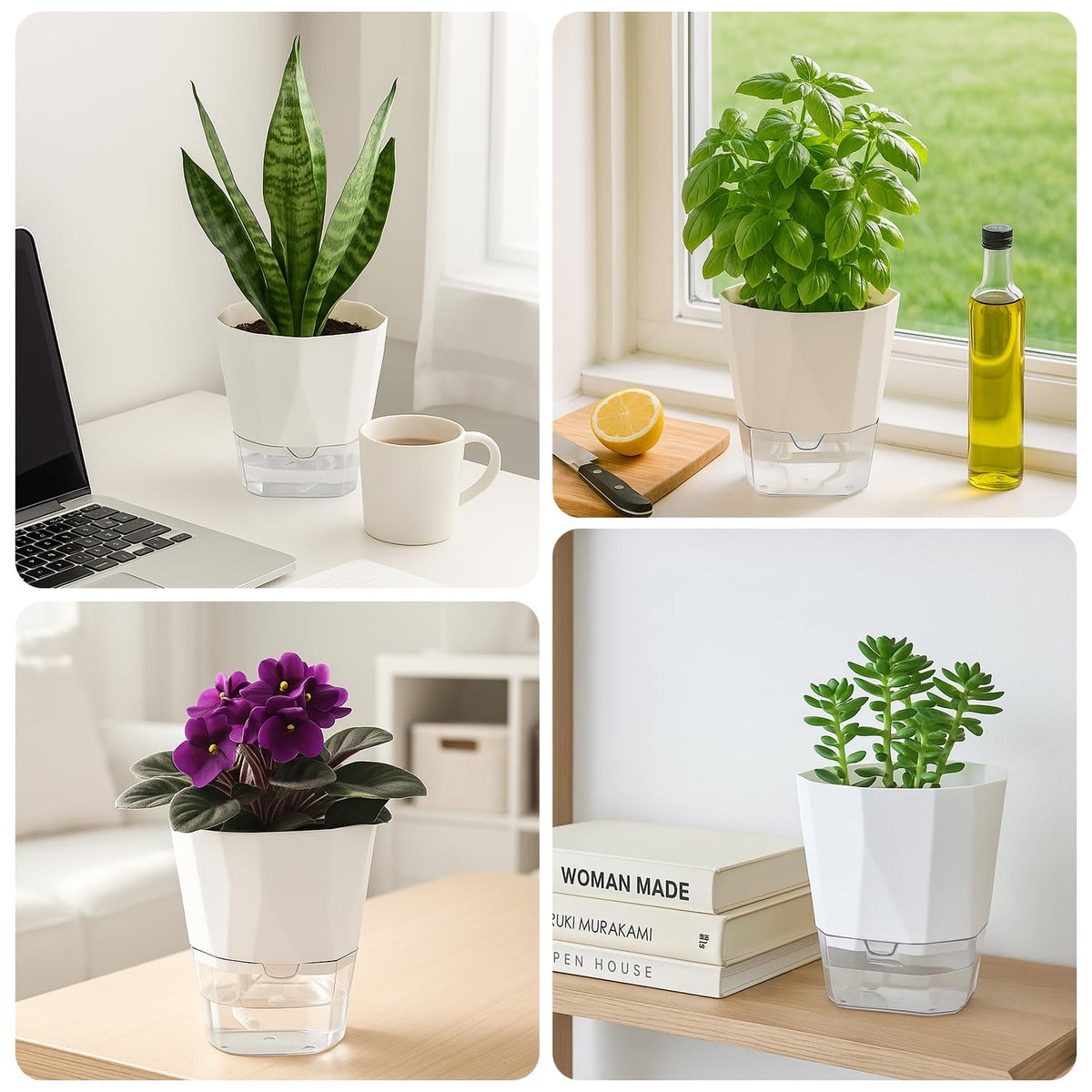 6 Pack Self Watering Plant Pots 6 Inches Self-Watering Planters for Indoor and Outdoor Plants African Violet Succulent Pots Clear Pot for Plants Large Herb Orchid Flower Houseplant Plant, White