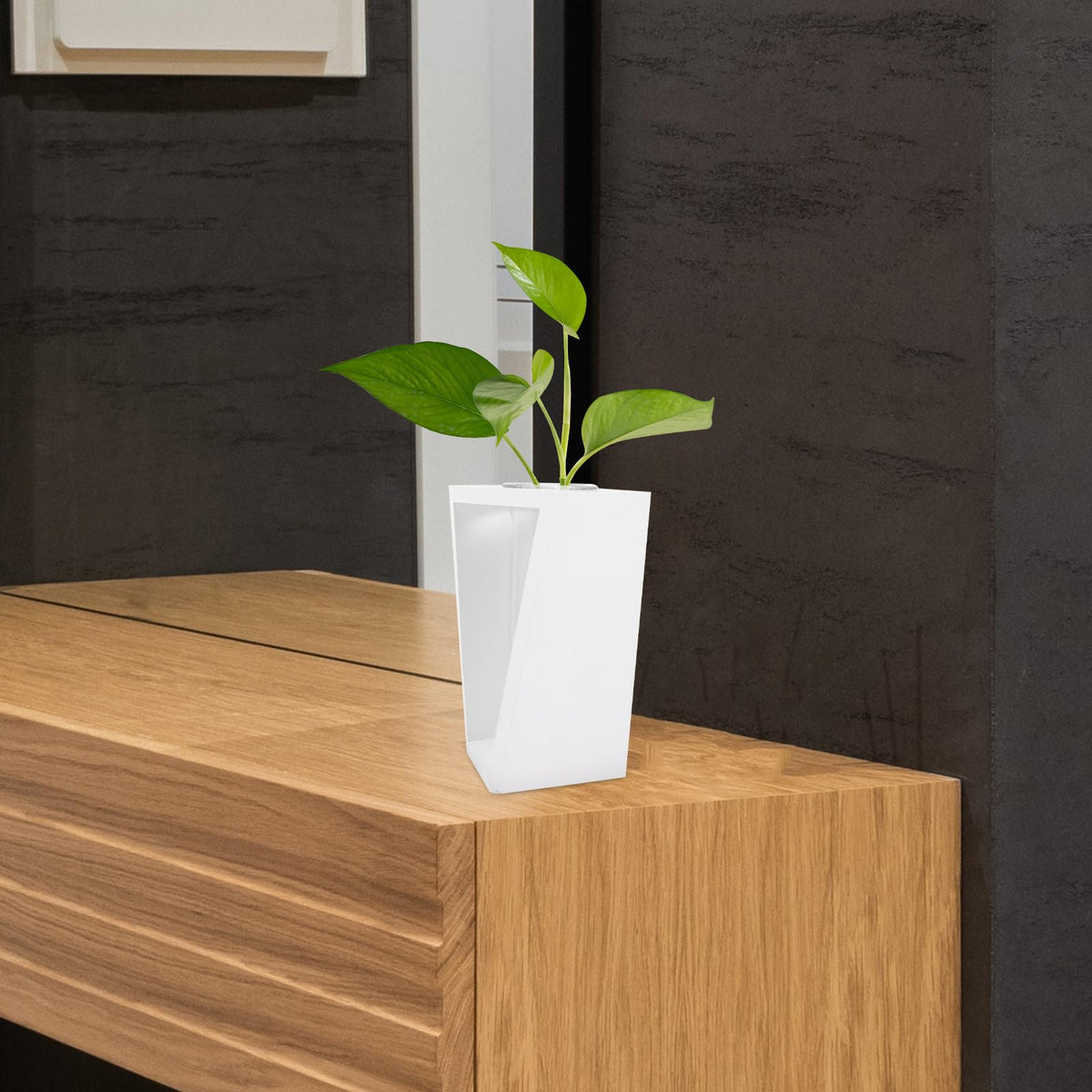 DOITOOL Test Tube Plant Vase with White Wooden Rack, Small Glass Propagation Terrarium Container for Indoor Hydroponic Plants and Home Décor