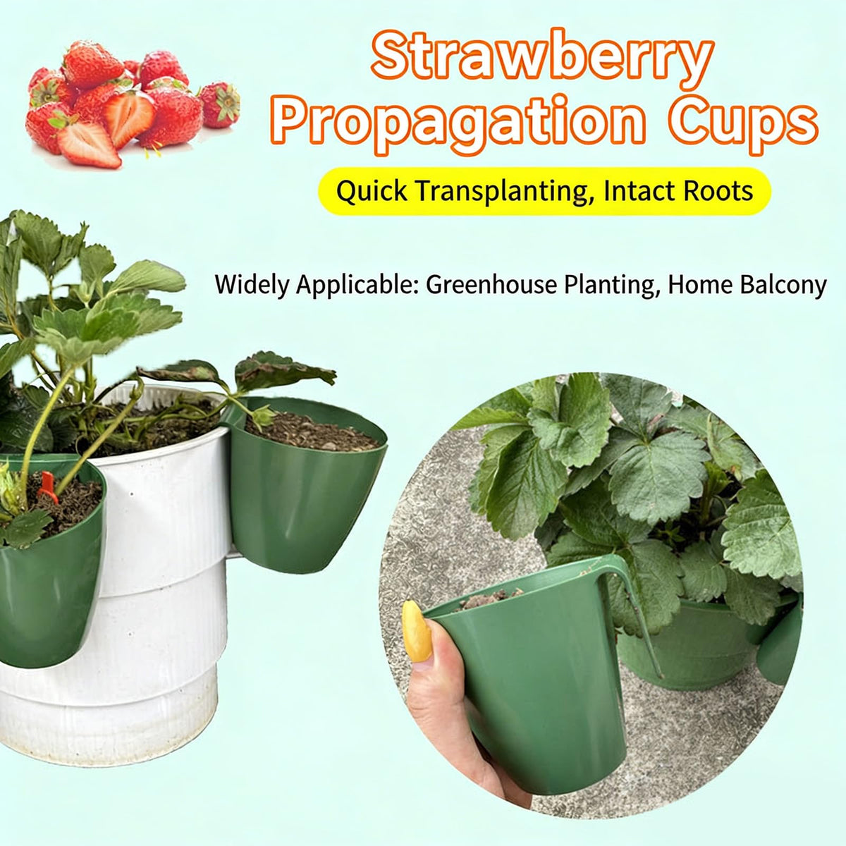 ordinarYone Breathable Strawberry Propagation Cups with Runner Forks for Root Rot and Promote Growth in High Hu