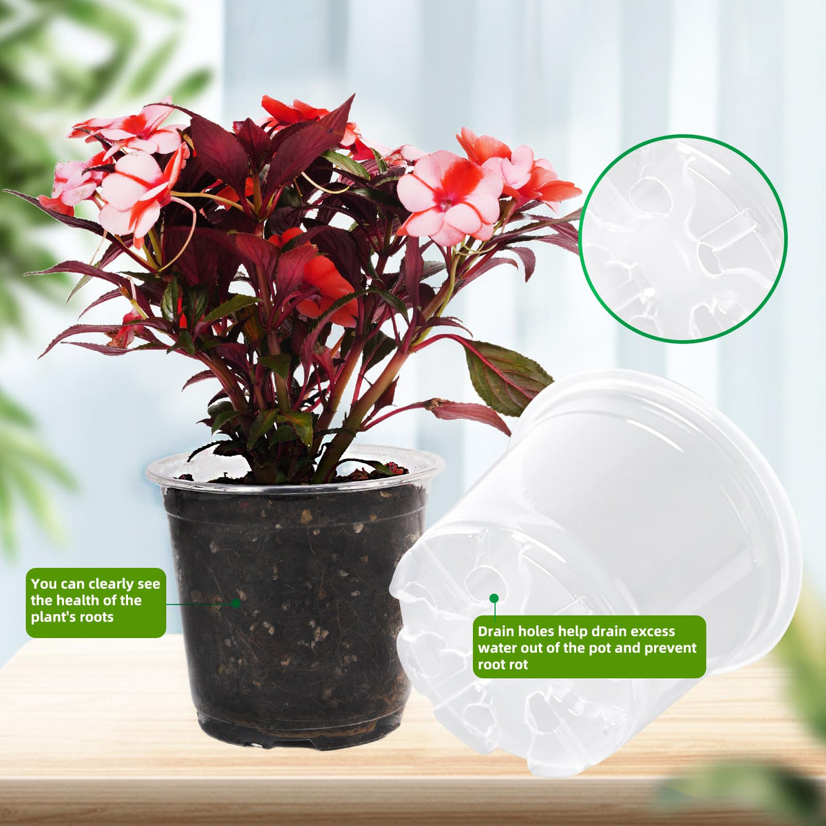 Clear Nursery Pots - 5 Inch Transparent Seedling Pots for Plants - 30 Pcs with Drainage Holes - Indoor/Outdoor Flower Pots - Seedlings, Succulents, Vegetables, Herbs