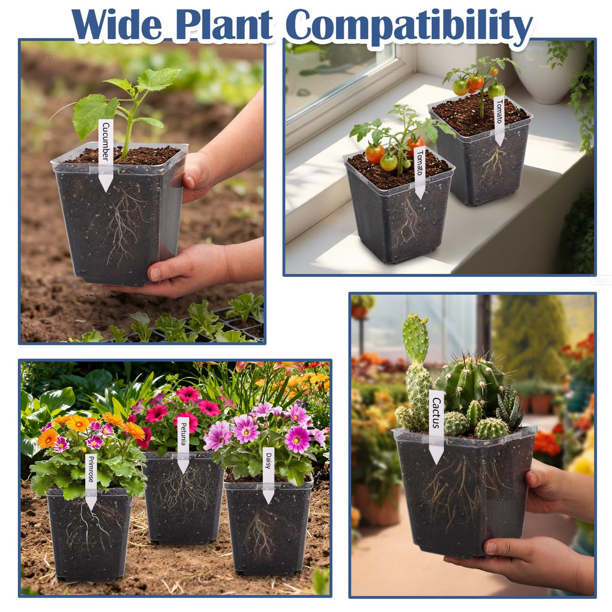 RooTrimmer 5.5 Inch Clear Square Nursery Pots with Drainage & Labels, 30Pcs Reusable Seed Starter Pots for Vegetables, Indoor Outdoor Gardening, Thick Transparent Plastic Plant Pots for Seed Starting