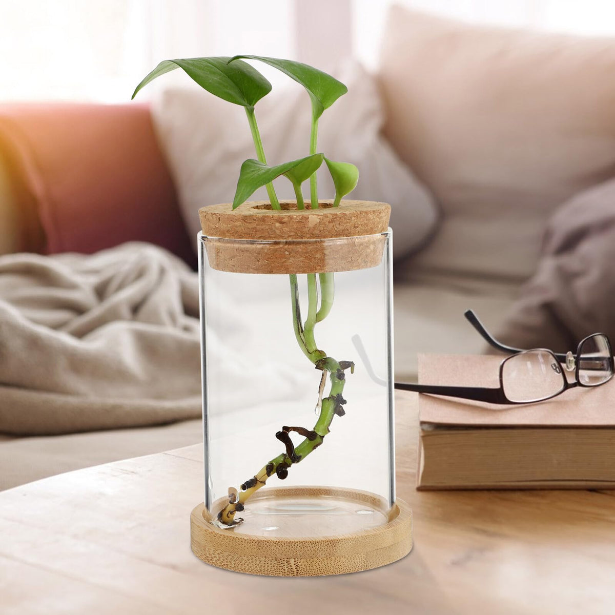jojofuny 2pcs Glass Planter Vases for Hydroponics Plants 6.5x10in Desktop Terrarium with Stand Set for Home Office Gardening