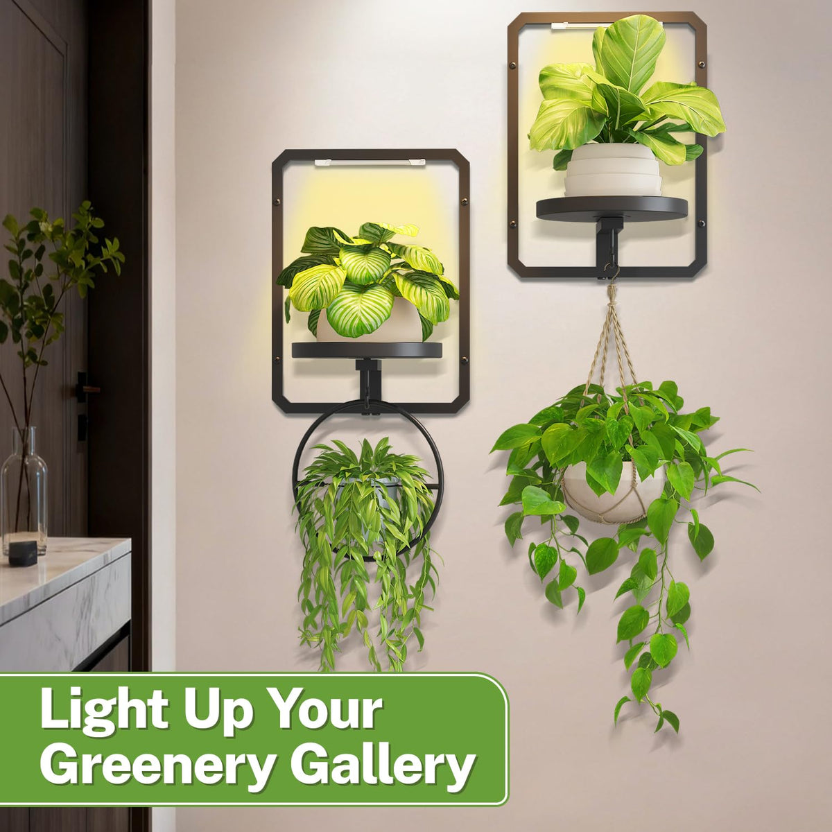iDavosic.ly Wall Plant Picture Frame Holder Set of 2 with 2 Grow Light for Indoor, Metal Stand with Hanging Hooks, Space Saving Floating Flower Display Decor (Pots/Chains/Plants Not Included)