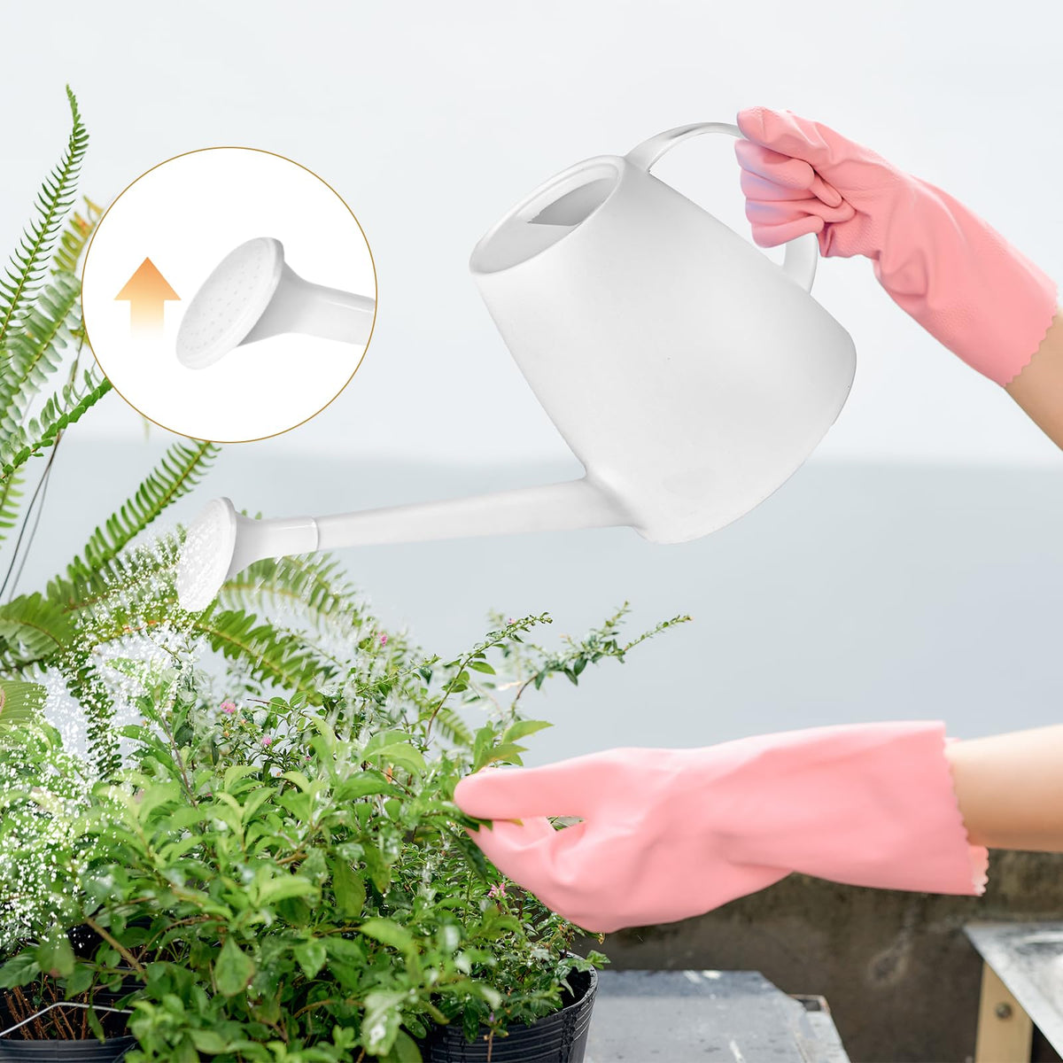 TTAOE GN Watering Can - for Indoor and Outdoor House Plant Garden - with Long Spout - 1/2 Gallon - White