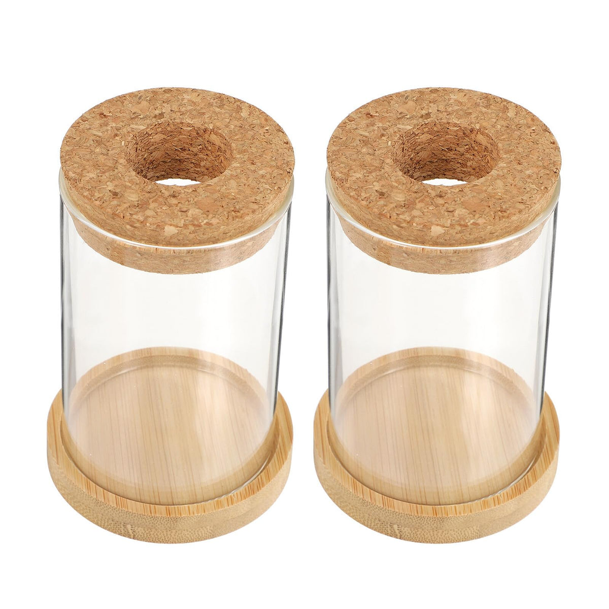 Artibetter 2pcs Hydroponic Glass Plant Vases with Stand, 6.5x10 Inch Desktop Garden Decoration Terrarium Containers for Office and Home Hydroponics