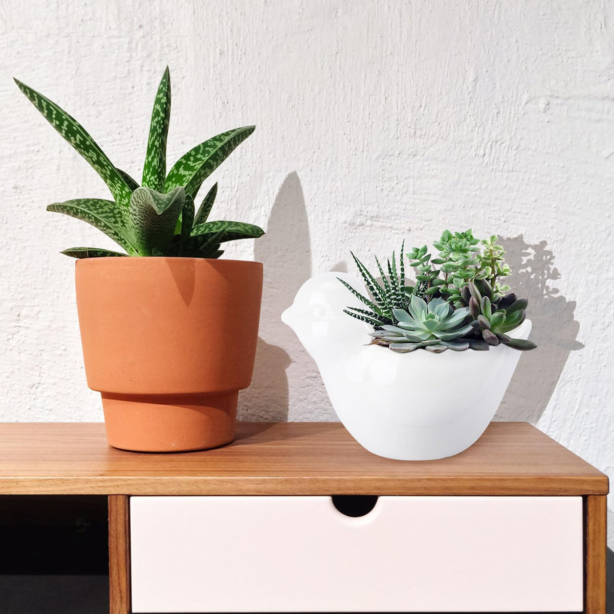 GANAZONO Delicate Ceramic Flowerpot with Creative Bird Design Succulent Planter for Indoor Garden Unique Animal Modeling Pot for Desktop Table Windowsill Decoration Gift for Plant Lovers