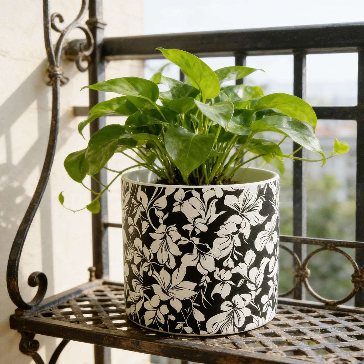 Ceramic Flowerpot Kit with Drainage Holes and Trays，5.9/4.9in Home Decor Planter for Indoor Potted Plants and Succulent Plants，2 Set of Black and White Plant Pot for Housewarming and Home Gifts