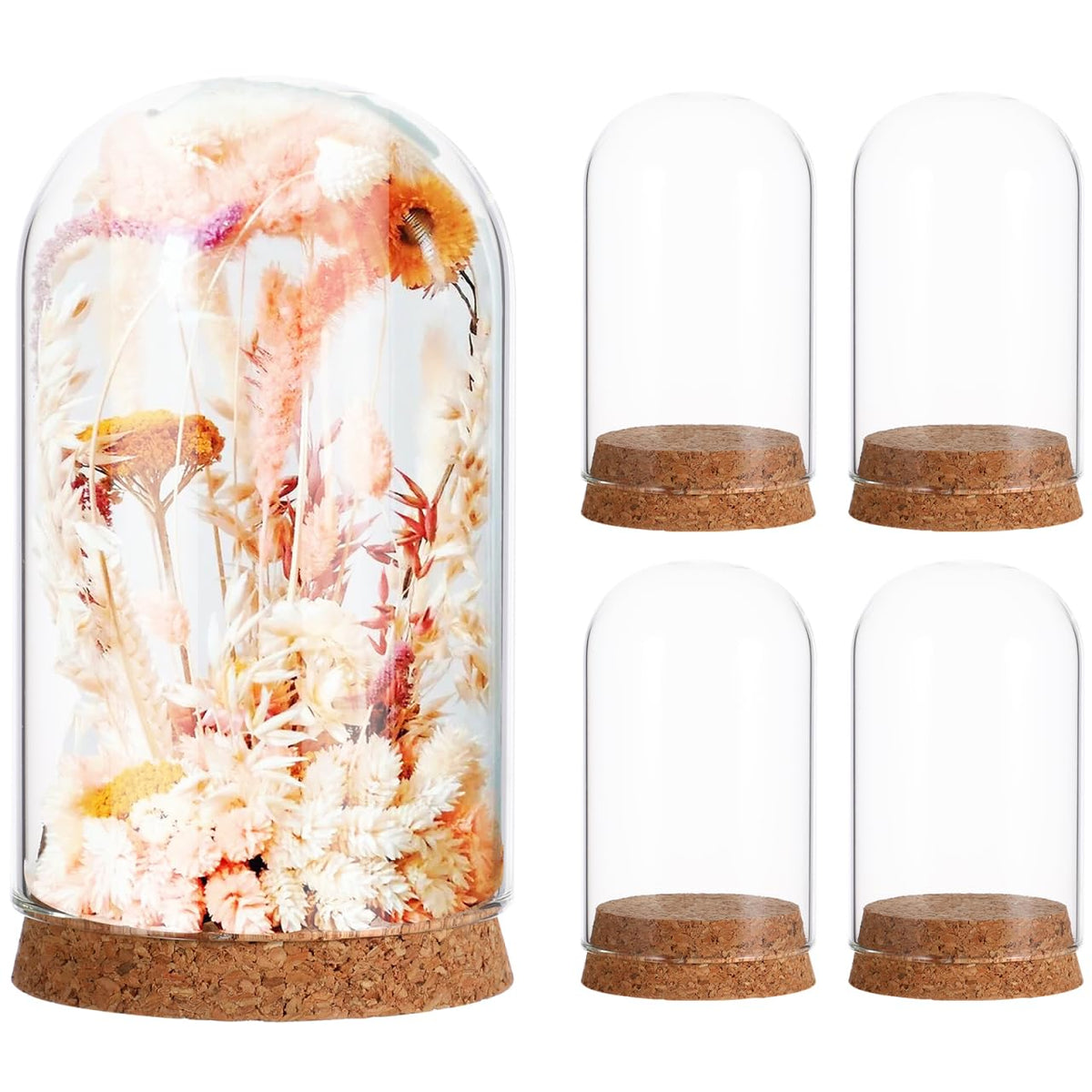 DECHOUS Small Glass Dome Cloches: 4 Inch Tall Clear Glass Cloche Bell Jar Decorative Display Dome with Base for Preserved Flower, Plants, Curios, Keepsakes, Party Favor