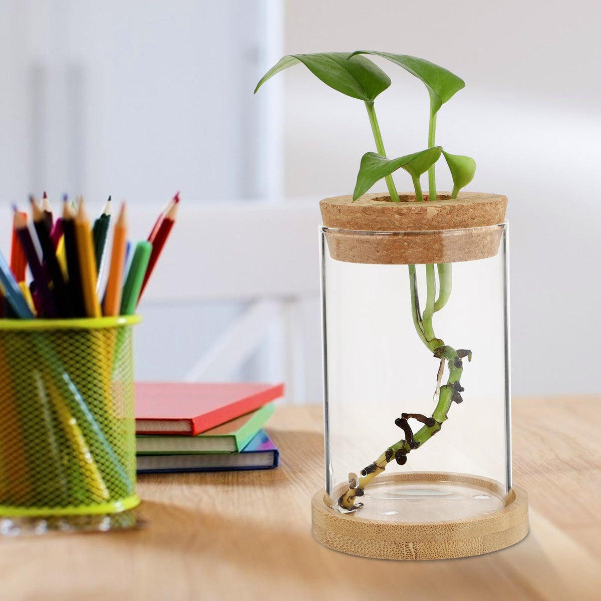 jojofuny 2pcs Glass Planter Vases for Hydroponics Plants 6.5x10in Desktop Terrarium with Stand Set for Home Office Gardening
