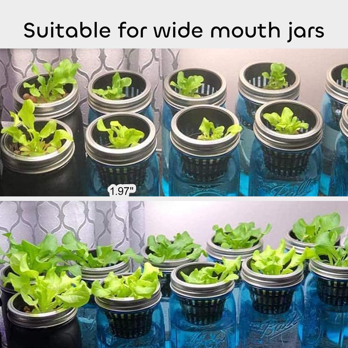 GROWNEER Net Pot for Hydroponics 100 Pcs 2 Inch Garden Slotted Mesh Net Cups, Heavy Duty Hydroponic Pots Supplies with 50Pcs Plant Labels, Planting Grow Basket for Indoor Outdoor Aquaponics Growing