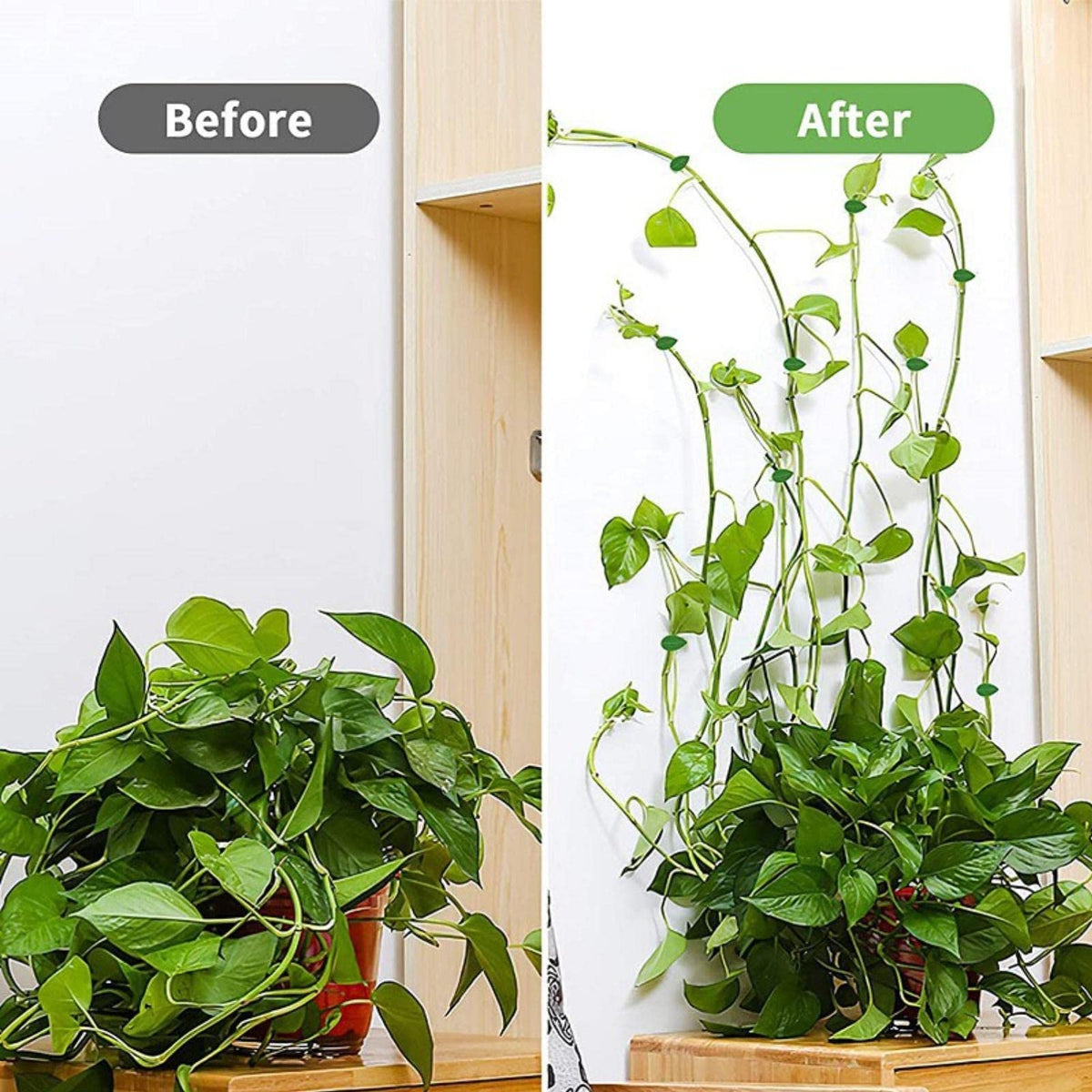 LeMall Plant Climbing Wall Fixture Clips, 100PCS Self-Adhesive Plant Hooks for Wall Vines Fixing Clips Green Leaf Plant Clip Garden Wall Clip Plant Clip Green Leaf Simulation for Garden Wall Clip