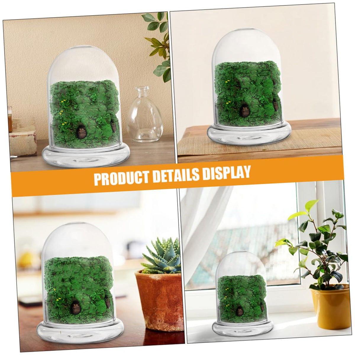 VICASKY 2pcs Glass Eco Bottle for DIY Micro Landscape Terrarium Container for Plants Decorative Desk Ornament Glass Display for Miniature Gardens