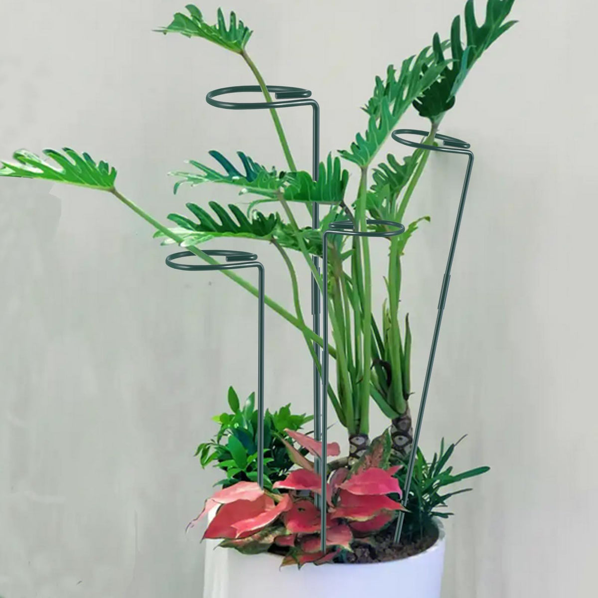 Plant Stake Support - 6 Pack Adjustable Height 16" or 30", Garden Support Stake Plant Cage Support Rings, Single Stem Plant Support Stakes, for Flowers Amaryllis Tomatoes Peony Lily Rose (30inch)