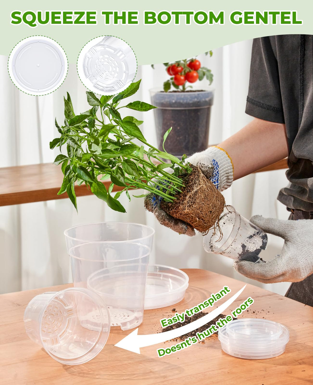 homenote 3/4/5 Inch Clear Nursery Pots 24 Pack with Drainage and Plant Saucers, Variety Pack Rigid High-Transparency Plastic Nursery Pots for Plants, Planter Nursery Pots with Upgraded Drainage Holes