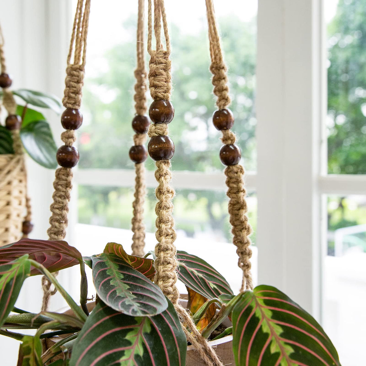Mkono 3 Pack Macrame Plant Hangers and Ceiling Hooks, Indoor Different Size Hanging Planter Basket Flower Pot Holder with Beads No Tassels, Medium, Brown