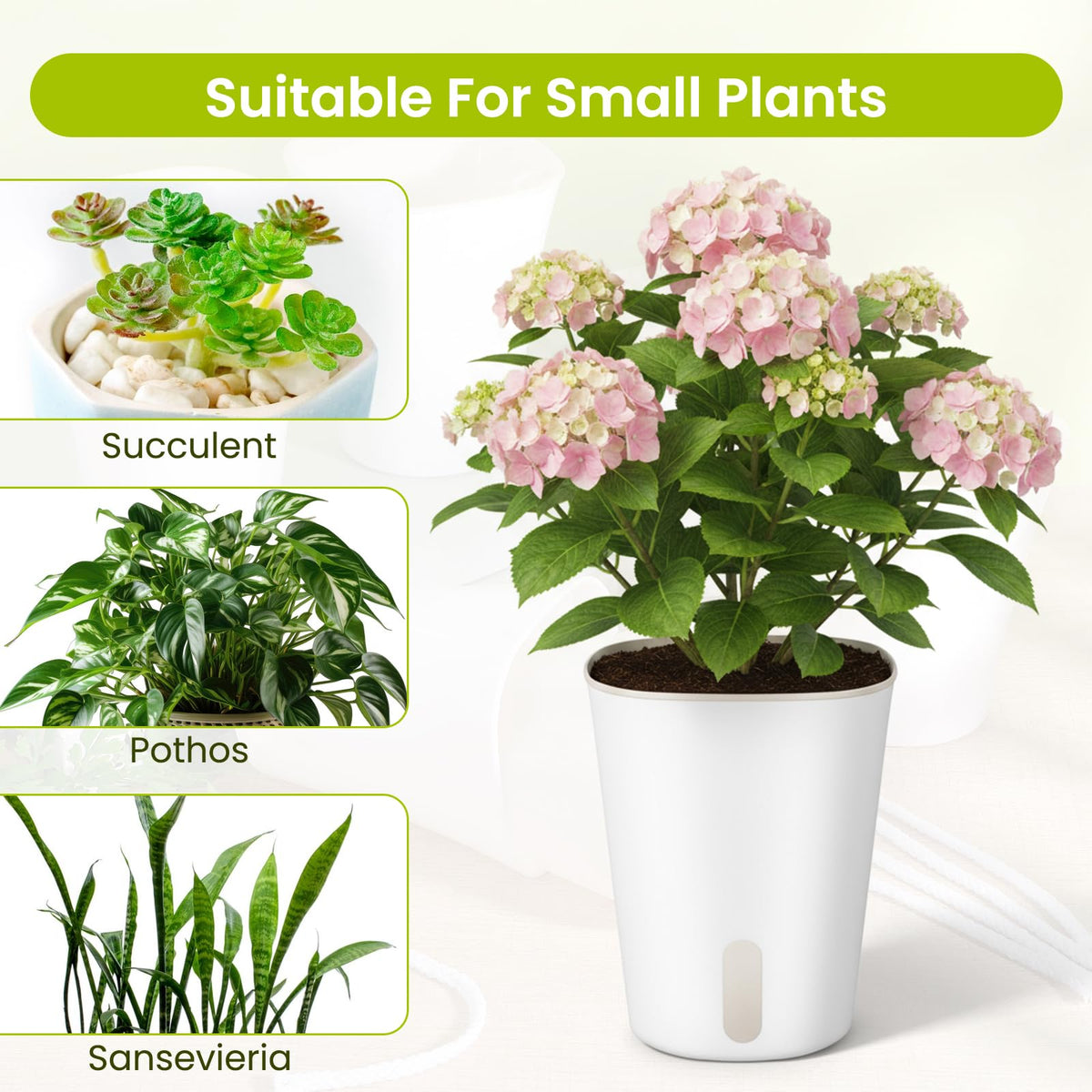 Xaajooio 20 Pcs 3 Inch Self Watering Planters with Water Level Indicator and Vent Holes, Indoor Garden Pots for Succulents African Violets