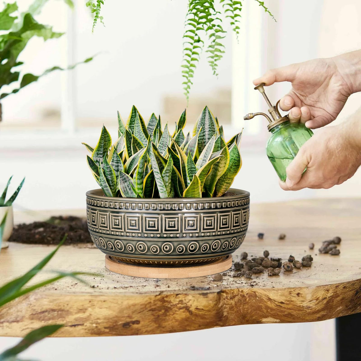 G EPGardening 8 Inch Ceramic Succulent Planter Pots Round Shallow Bonsai Planter Pot for Indoor Plants with Drainage and Bamboo Saucer Gray