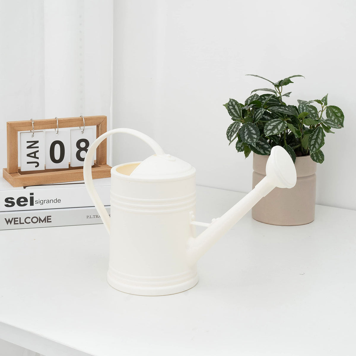 Plastic Indoor Watering Can with Sprinkler Head - 68 oz, 1/2 Gallon