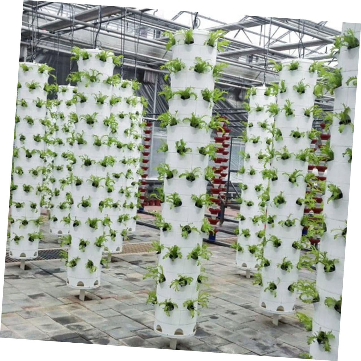 FONDOTIN Hydroponic Planting Cups 2.83 X 1.49 Inch Reusable Plastic Garden Containers with for Vertical Hydroponics Tower Indoor Balcony Soilless Vegetable Cultivation