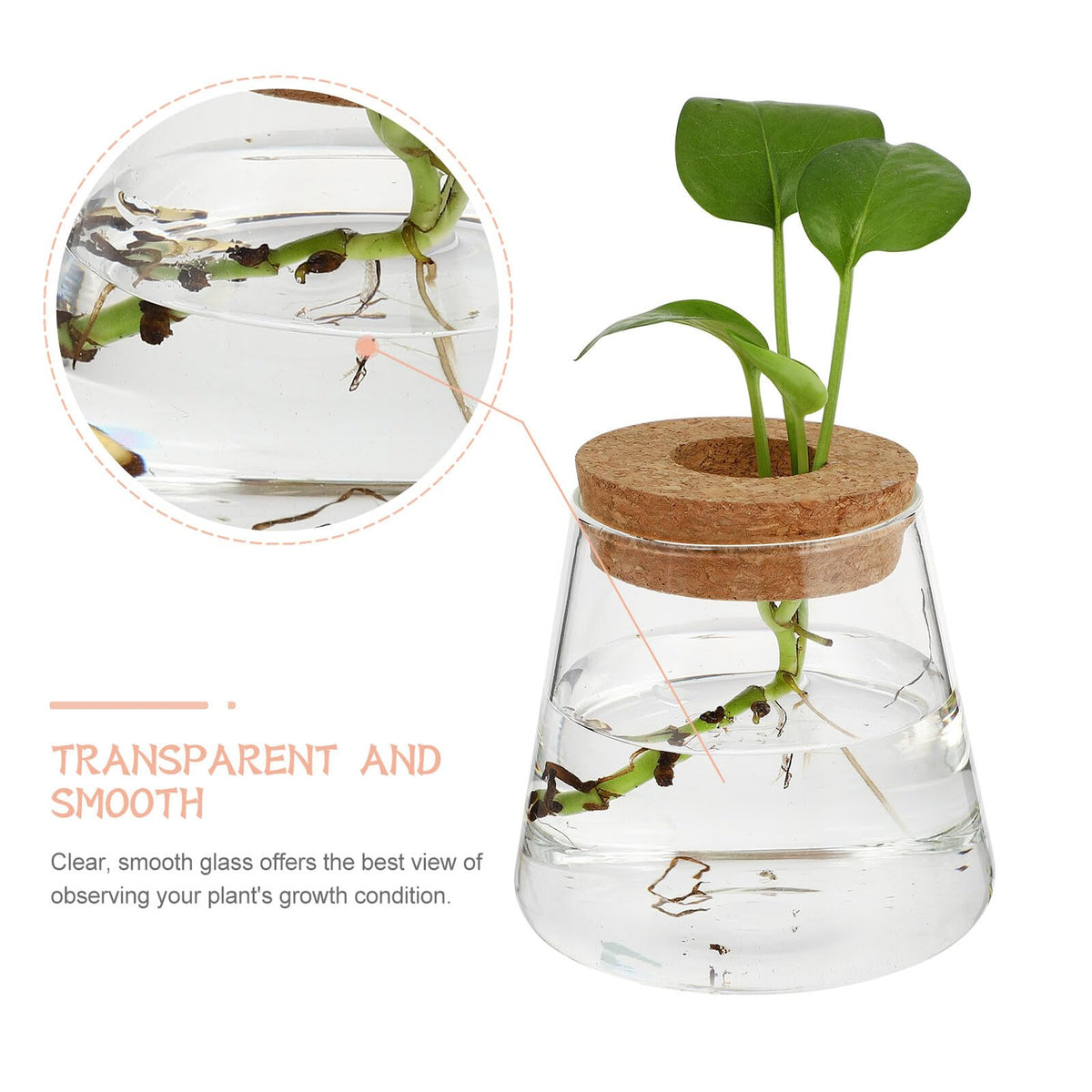 FOMIYES 2pcs Hydroponic Plants Vase Glass Terrarium Round Flower Vase 6.5cm Mouth Diameter Desktop Planter for Indoor Hydroponics Home Office Décor