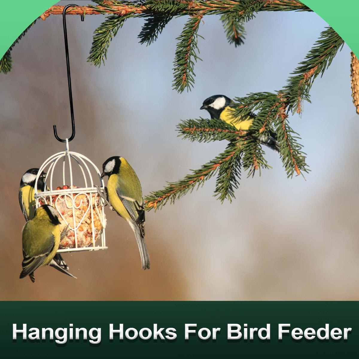 DINGEE 16 inch 8 Pack Extra Large S Hooks Heavy Duty Long S Hook for Hanging Plant, Hooks for Tree Branch,Bird Feeder,Pots and Pans Closet Garden Pergola Indoor Outdoor X-Large Hook