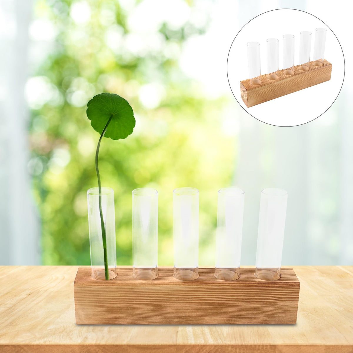 Sewroro Hydroponic Indoor Garden Glass Bud Vases with 5-Hole Wooden Stand Plant Terrarium for Desktop Office Home Décor