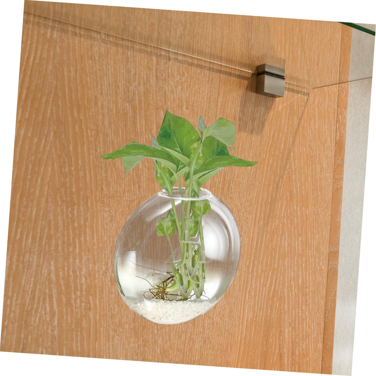 BIUDECO Wall Hanging Glass Terrarium Planter Stylish Hydroponic Flower Vase for Indoor Plants Transparent Design for Home Decor for Succulents and Plant Arrangements