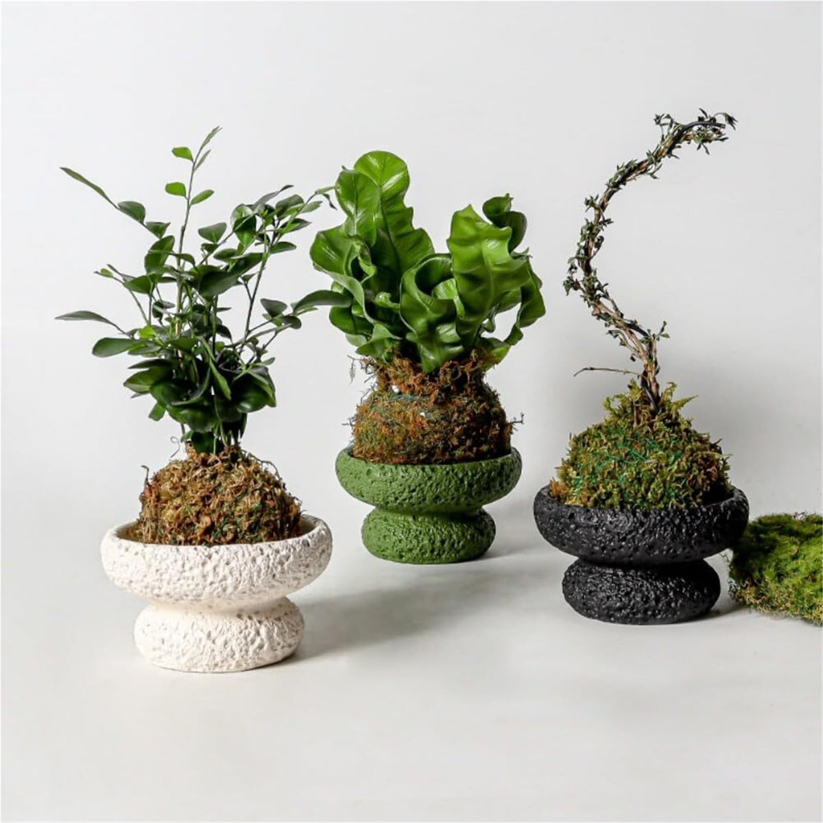 FXLTHIYBO Sleek Cement Creative Meteorite Pattern Flower Pot Planter Plants Flowers Bonsai Decoration for Indoor use(Beige,Large)