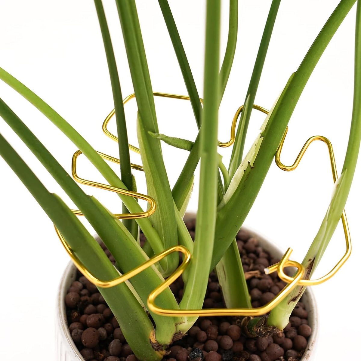 5 Pcs Plant Stem Support, Iron Monstera Plant Support, Durable Hook Stem Supports for Healthy Growth, Bamboo Clamp Set for Leaf Stabilization and Support, Ideal Present for Plant Lovers (6.25IN*7IN)