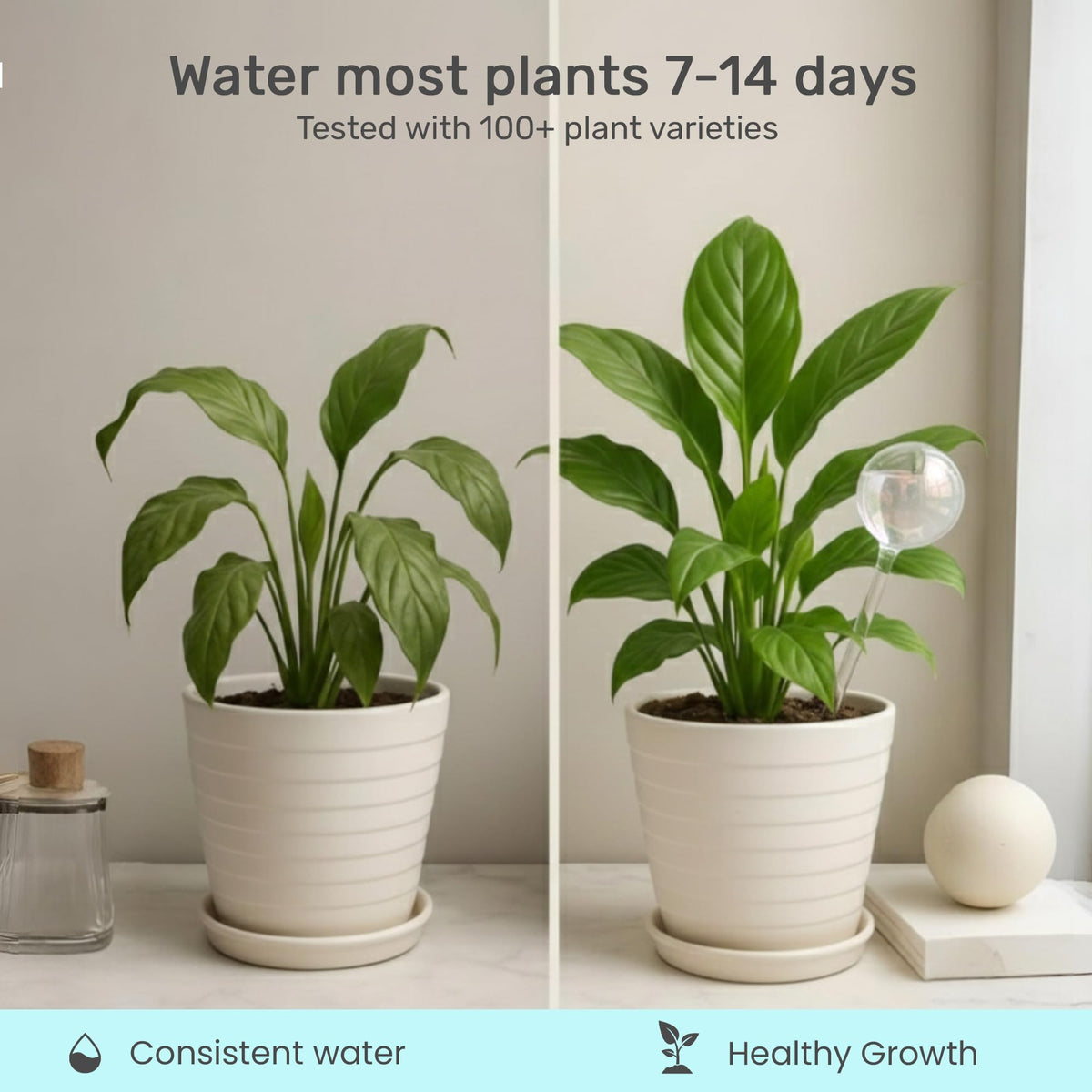 Little Green Leaf Automatic Plant Watering Globes Self Watering Planter Inserts (Set of 4) | Hands Free Clear Glass Bulbs | Planter Spikes to Support Indoor & Outdoor Plant Health (200ml)