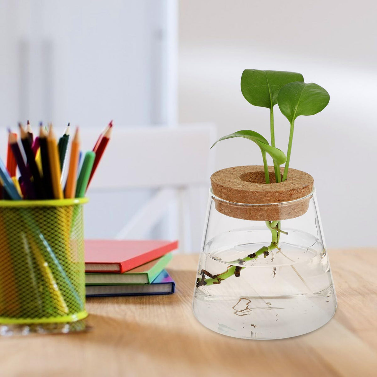 Healifty 2pcs Hydroponic Glass Planter Vases 6.5cm Mouth Diameter Glass Terrarium Plant Containers for Home Office Garden Decoration
