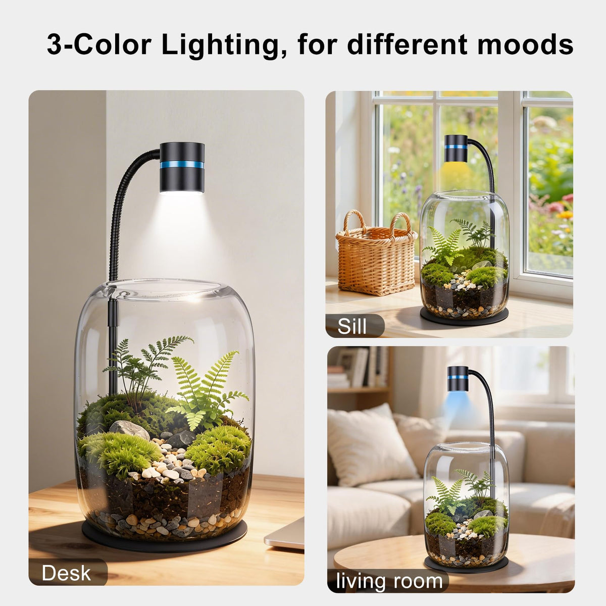 Yeeweek Glass Plant Terrarium with LED Grow Light(H:8.46" D:5.9"), Desktop Terrarium for Venus Fly Trap, Moss & Succulents, Borosilicate Indoor Planter for Home Office Decor