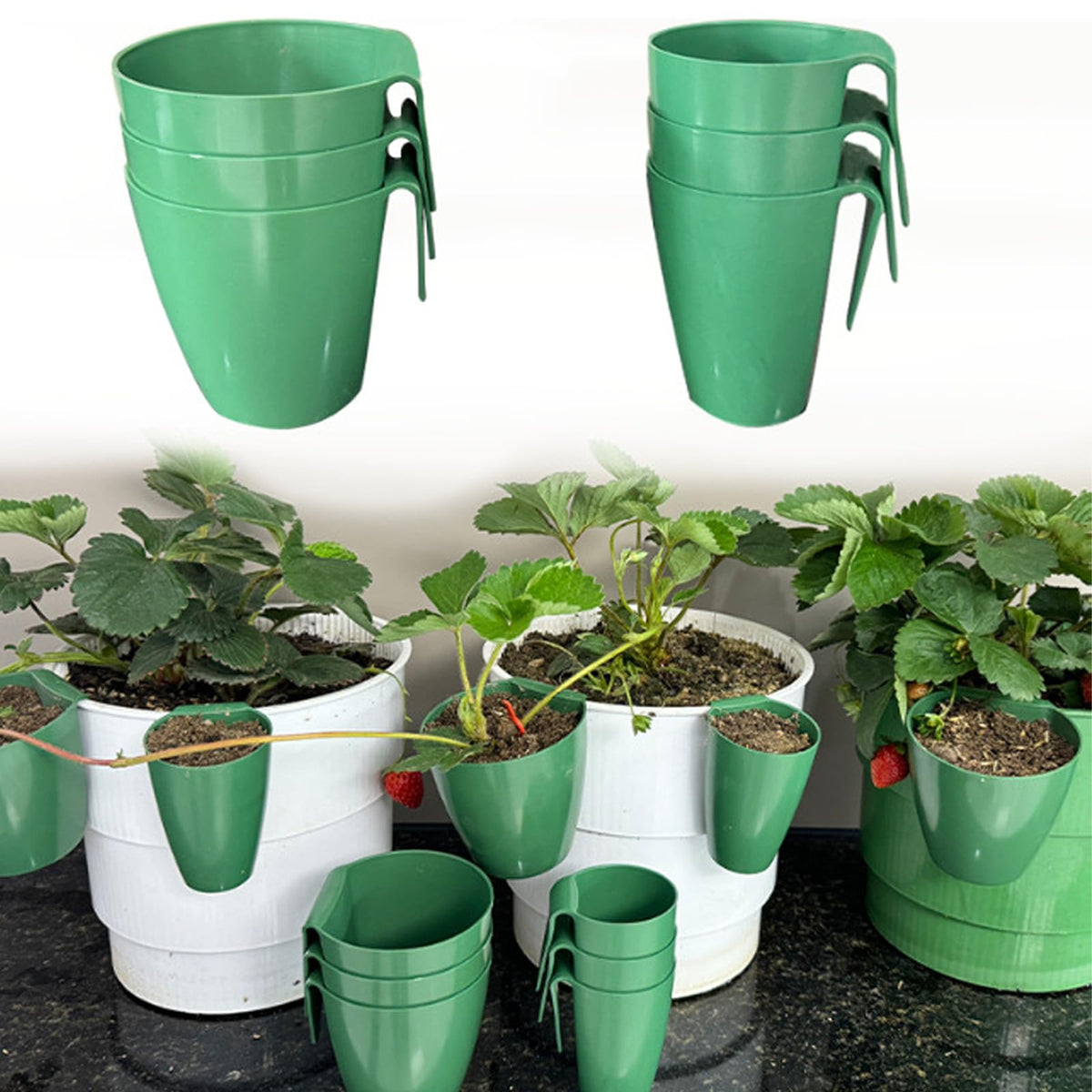 ordinarYone Breathable Strawberry Propagation Cups with Runner Forks for Root Rot and Promote Growth in High Hu