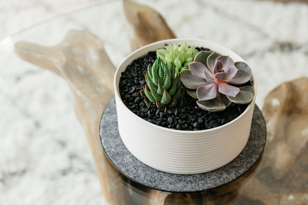 Curtis Wagner Plastics Corp. MA-800 Fabric Plant Mat (8" Diameter, Charcoal Gray, 5-Pack) - Round Fabric Plant Coasters - Use as Planter, Coaster or Pads for Your Arts & Crafts