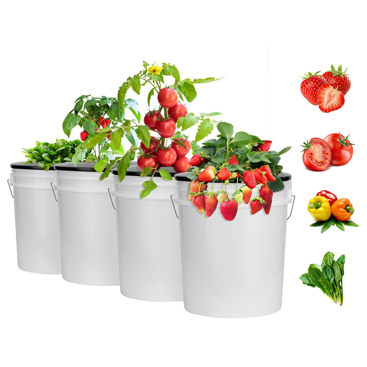 Tectsia Net Pots 6 Inch for 5 Gallon Bucket (6 Pack), Hydroponic BPA-Free DWC Basket Lids