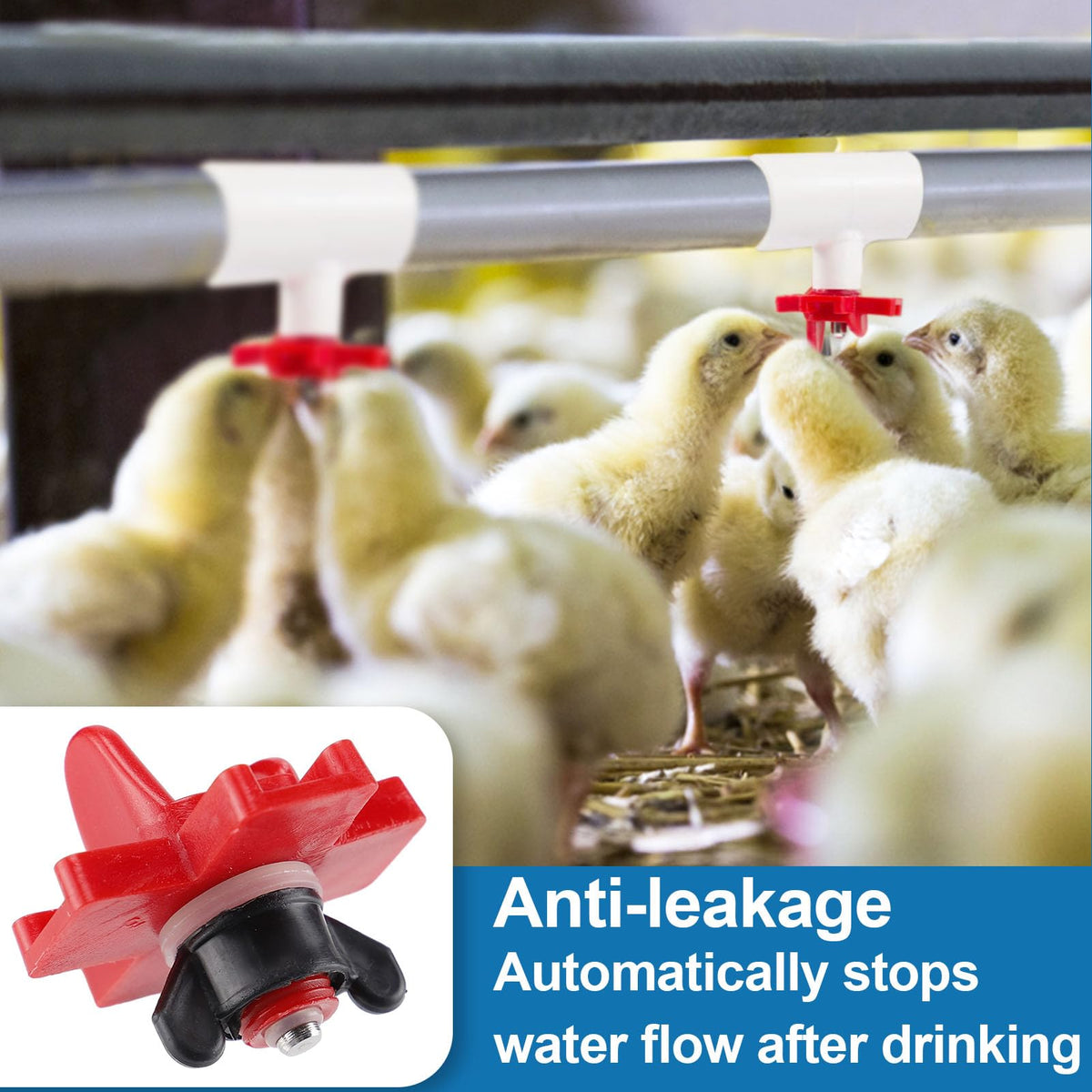 40 Pack Chicken Waterer Nipples - Easy Install Leakproof Poultry Watering System for Chicken Coop, Quail Duck Water Feeder Nipples with Drill Bits