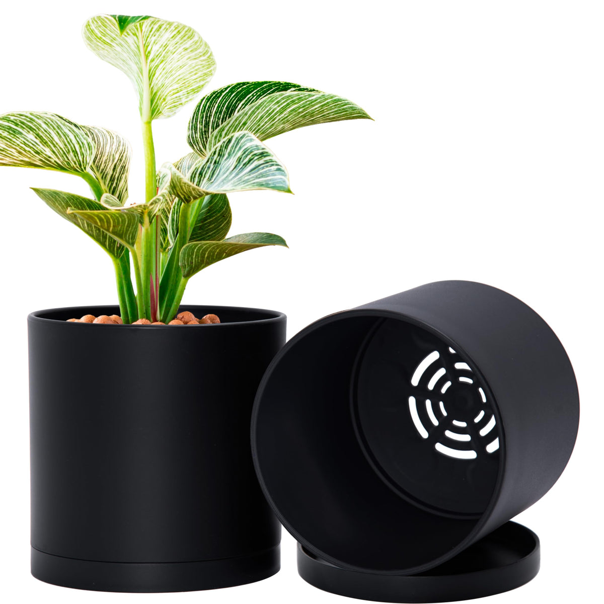 D'vine Dev 2 Pack 6 Inch Modern Plastic Plant Pots, Small Garden Planters for Plant with Drainage Holes and Saucers, Black Color, 74-Y-J-1