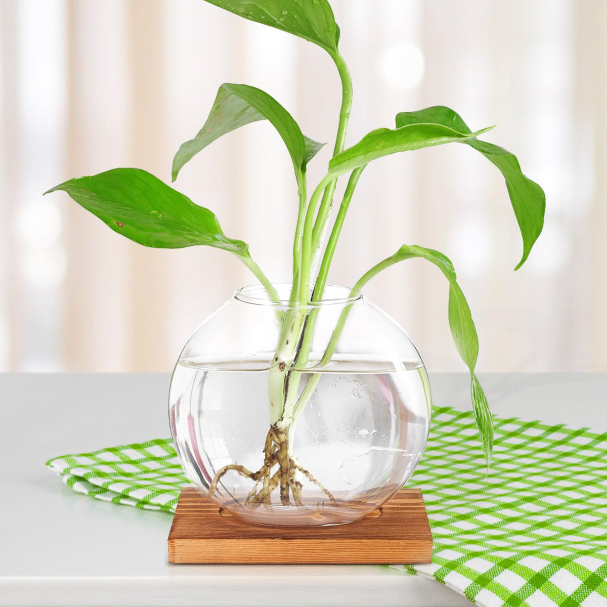 ABOOFAN Glass Hydroponic Flower Planter with Wood Base, Desktop Glass Vase for Home and Office Decor, Hydroponic Plant Terrarium Decoration