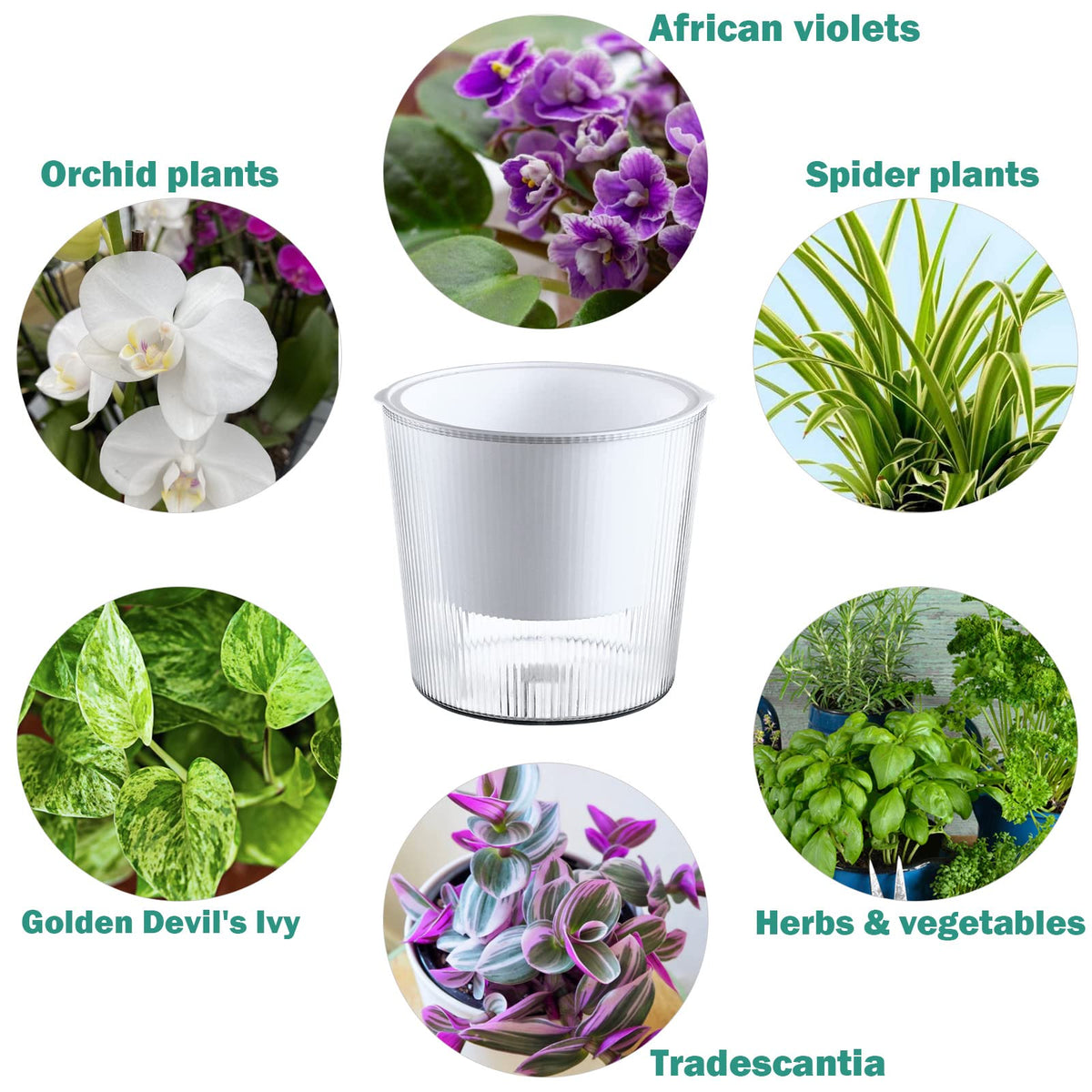 4-Pack 6.5 Inches Clear Self-Watering Planters and Pots for Indoor Plants Large Orchid Plant Pots Plastic Wick Flower Pots, African Violet Pot Set, Home Decor Pot