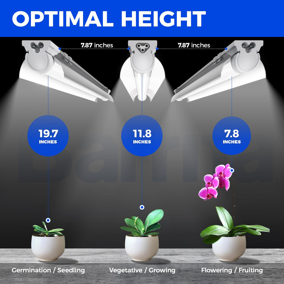 Barrina T8 Grow Light Strip, 5000K Full Spectrum, V-Shape with Reflector, 1FT, 60W, Linkable, White, Model QC12, 4