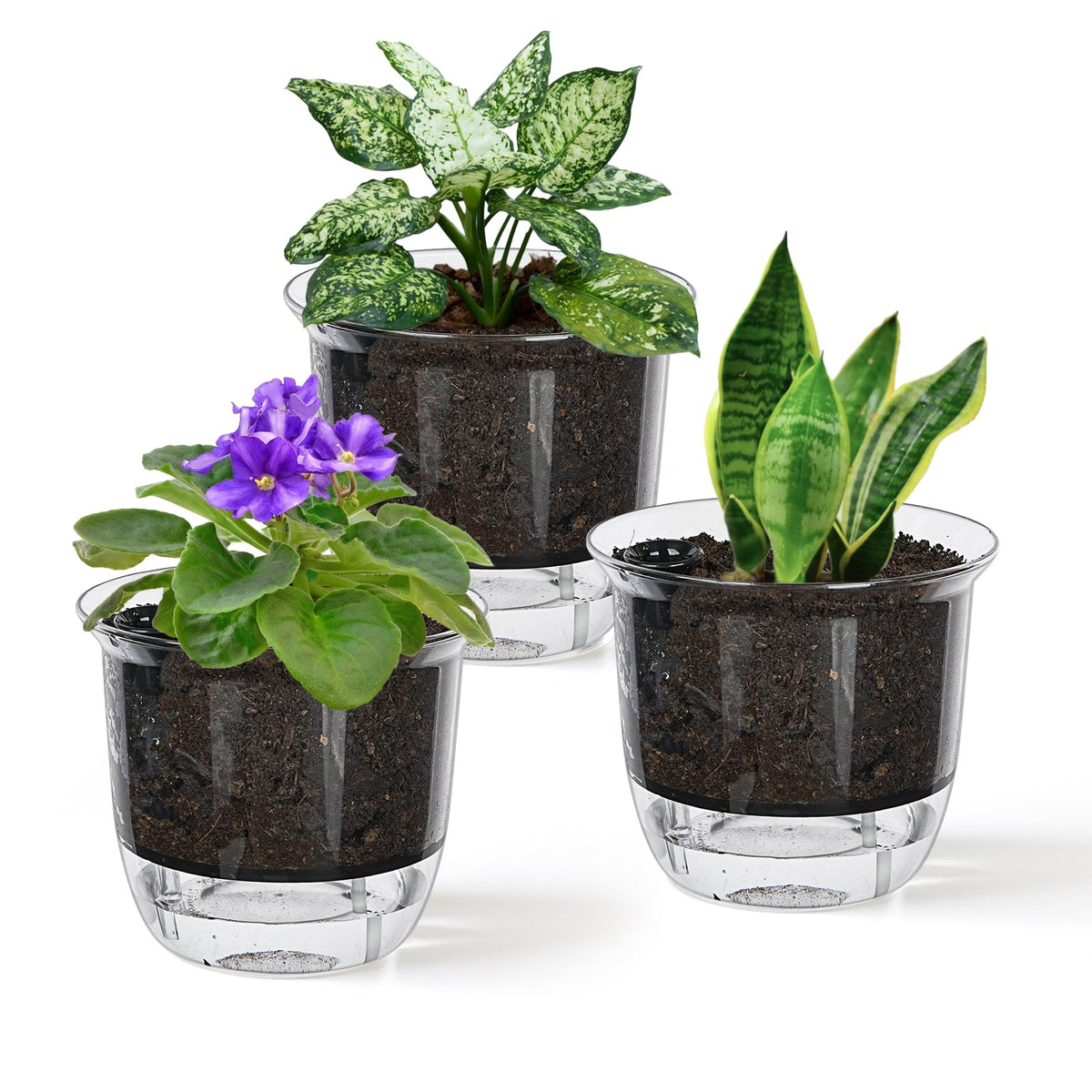 IWNTWY Self Watering Pots, 3 Pack 4 Inch Clear Plant Pot Self Watering Planter Flowers Pot with Deep Reservoir for Indoor Plants (3 Small)