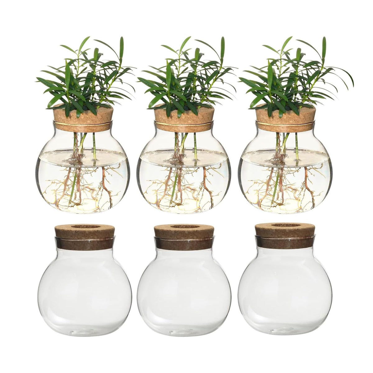 wangsdjy Plant Propagation Station,Hydroponic Terrarium Vase,Desktop Glass Planter Station,for Houses,Garden Decorations,ropagating Hydroponic Plants,Centerpiece Office,Home Garden Decor (6)