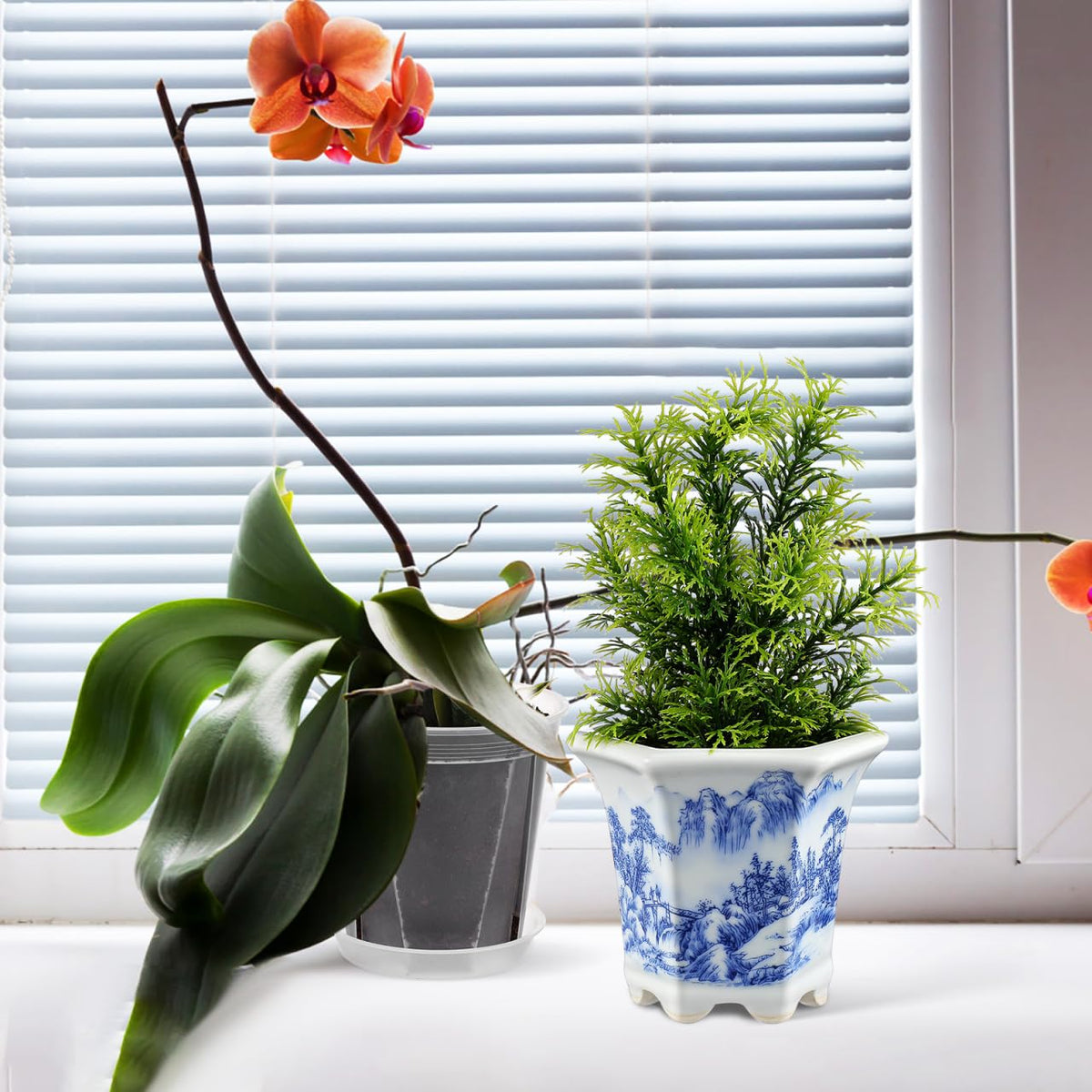 Toddmomy Blue and White Planter: Succulent Pots Ceramic Flower Pot Chinese Style Porcelain Planter Container for Office Desk Balcony Outdoor Garden