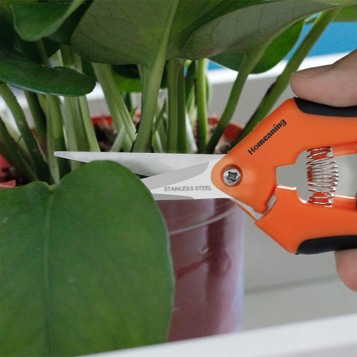 HOMEANING 6 Packs Garden Pruning Shears with Straight Blades Trimming Scissors, Gardening Hand Pruning Snips Titanium Coated Precision Bonsai Pruning Shears, Convenient Flower Cutters (Orange)