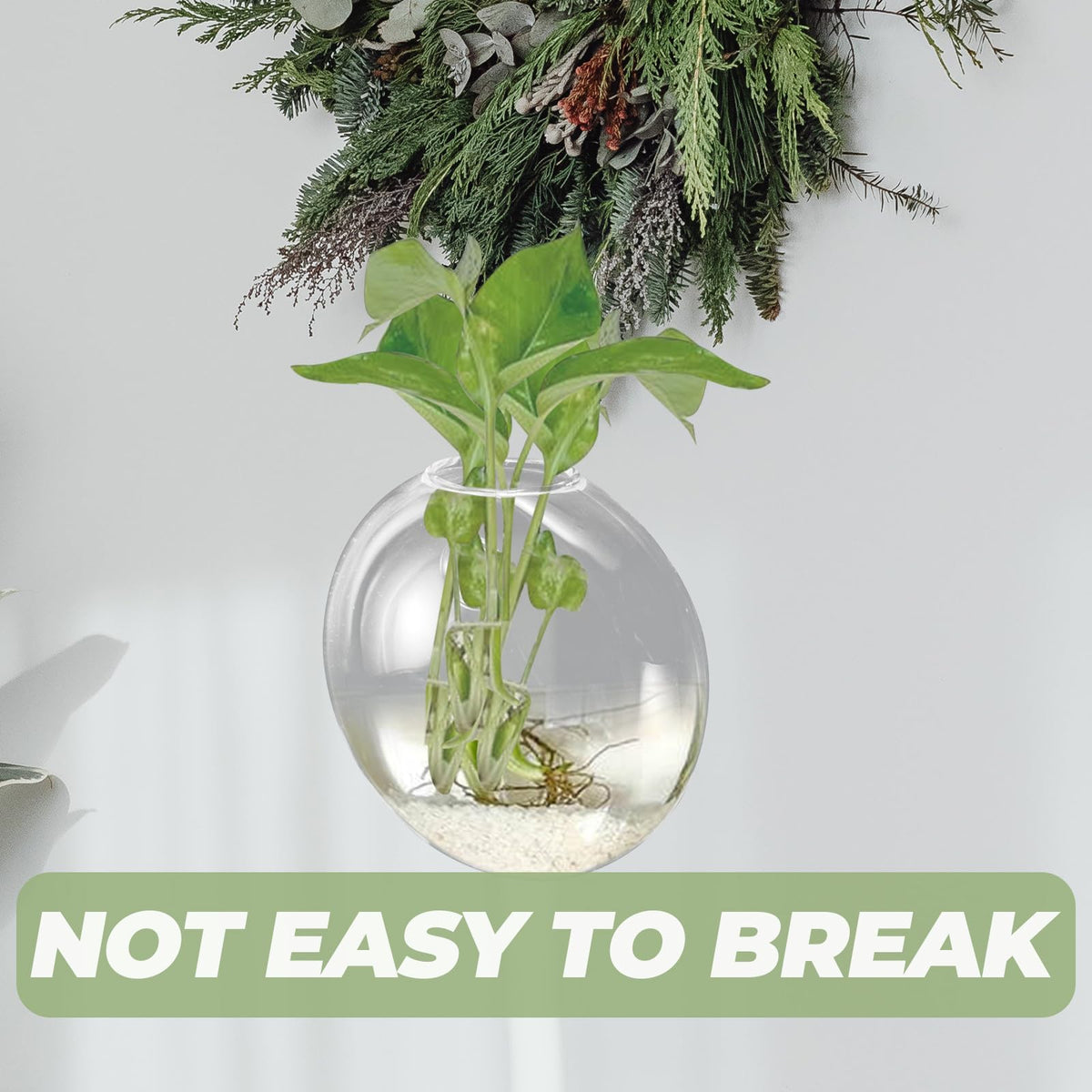 NUOBESTY Wall Mounted Hydroponic Vase Glass Planter Hanging Plant Terrarium Bottle for Indoor Home Décor Hydroponic Plants,